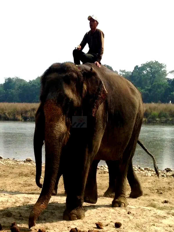 Chitwan