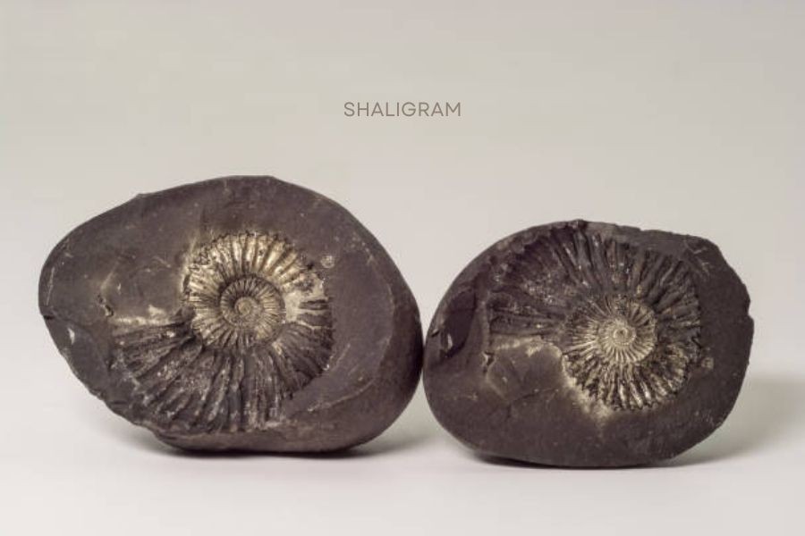 Shaligram