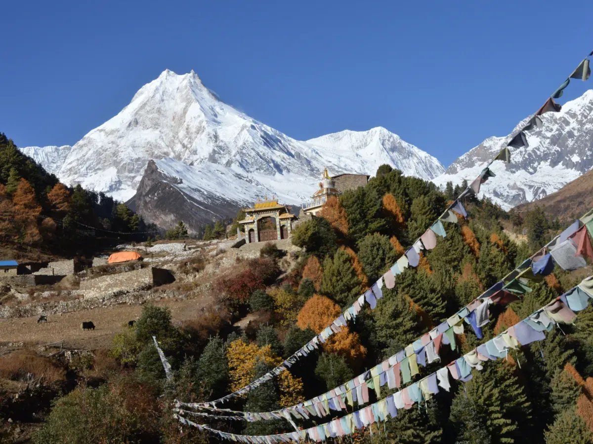 Manaslu Himal View