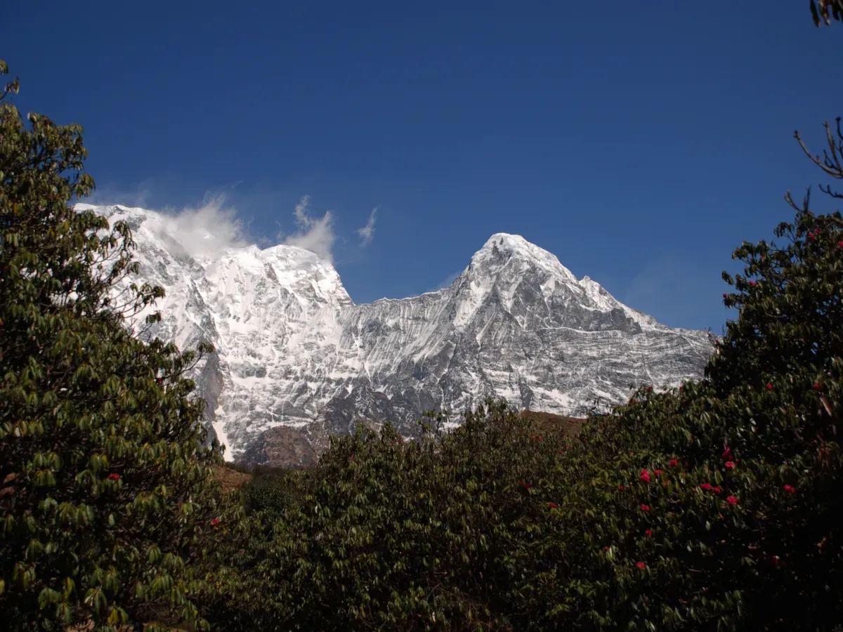 Mountains on Mardi Himal Trek