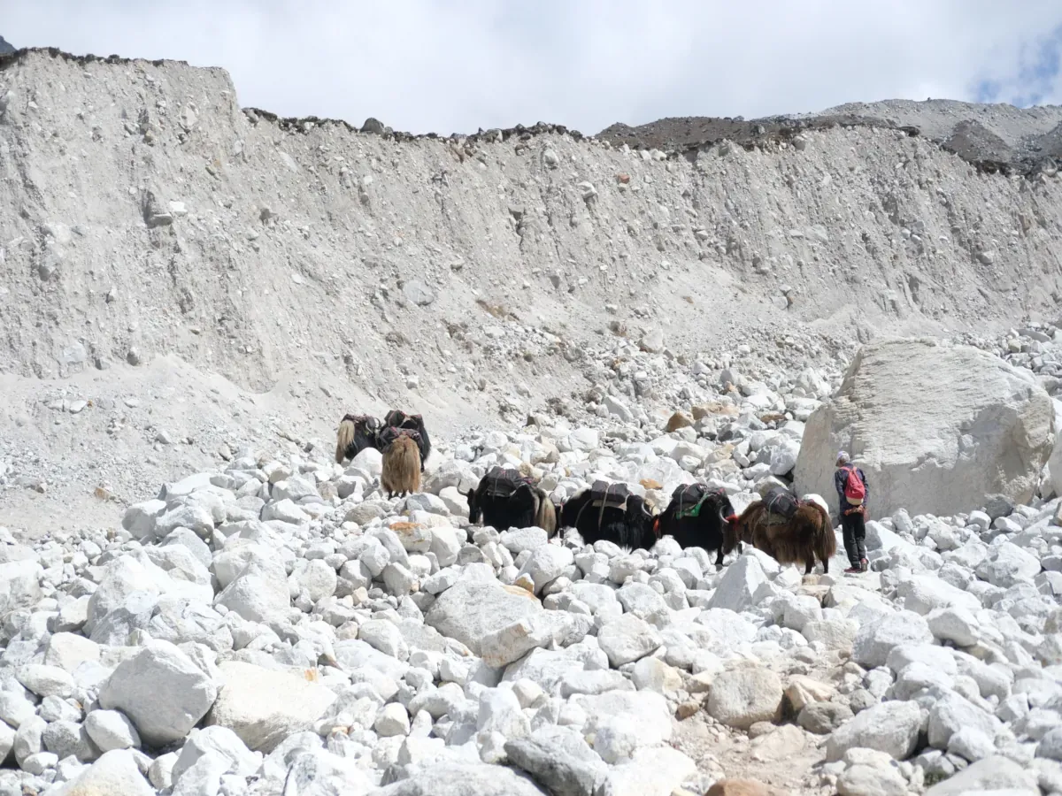 Everest Three Pass Trek