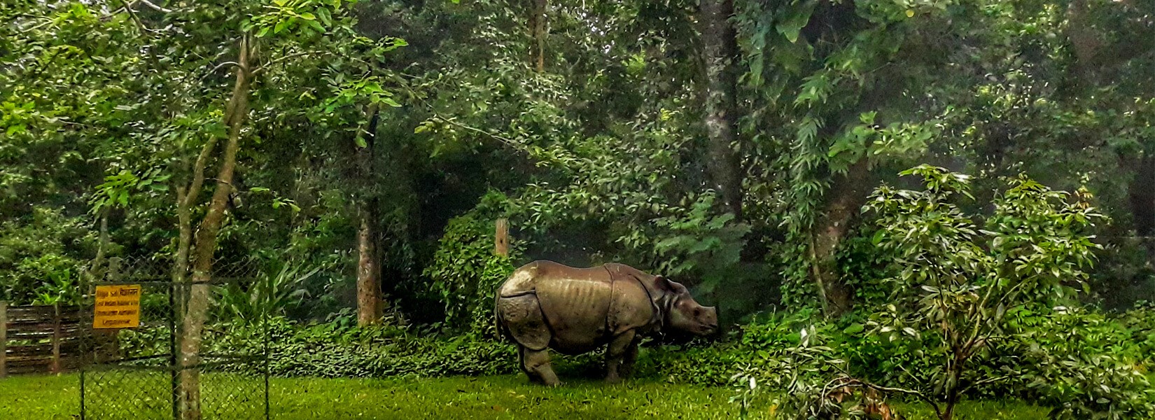 Chitwan Jungle Safari Tour – 2 Nights 3 Days