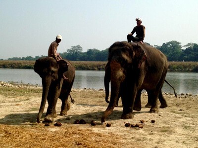 Chitwan Jungle Safari Tour – 2 Nights 3 Days