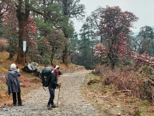 Pikey Peak Trek In Spring