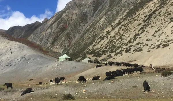 Lower Dolpo Circuit Trek