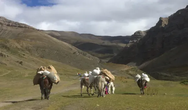 Upper Dolpo Trek