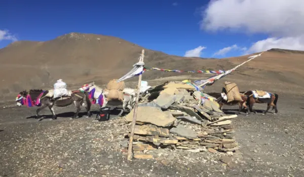Jumla to Phoksundo Lake Trek