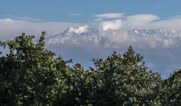 Shivapuri Day Hike